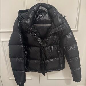 Quince Responsible Down Cropped Puffer in Shiny Black